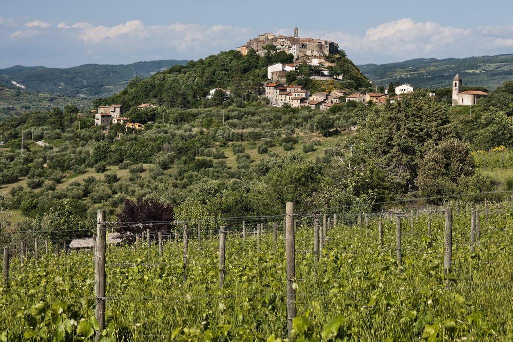 La Dragona Apartment Castel del Piano  Room photo